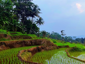 PUNCAK NISKALA KAHURIPAN